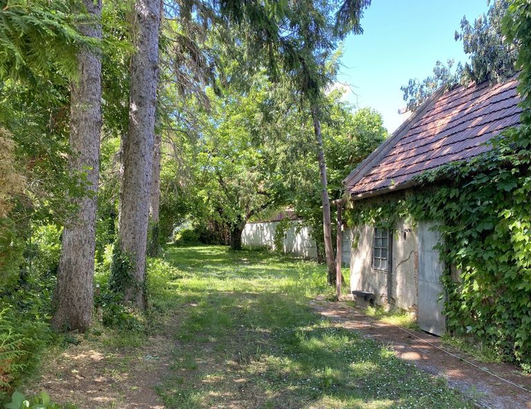 Garten mit kleinem Häuschen