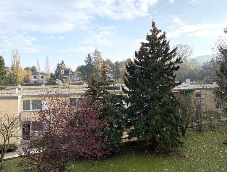 Ausblick auf die Nachbarschaft