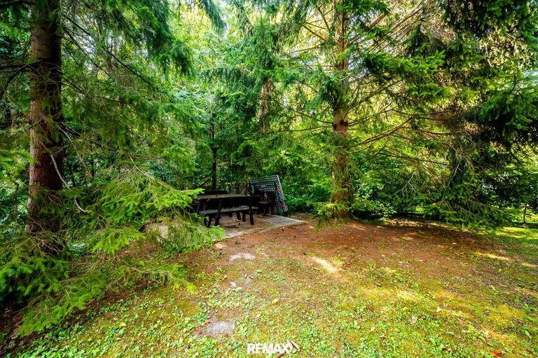 Garten_2
