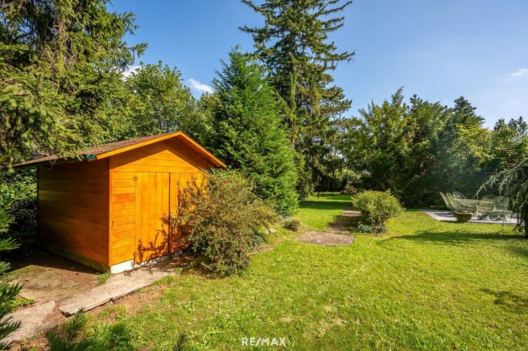 Gepflegter Altbaumbestand