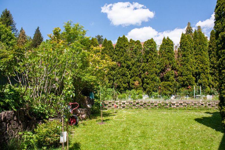 Gartenimpressionen 2