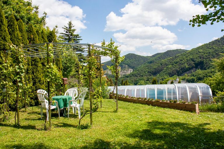 Gartenimpressionen 1