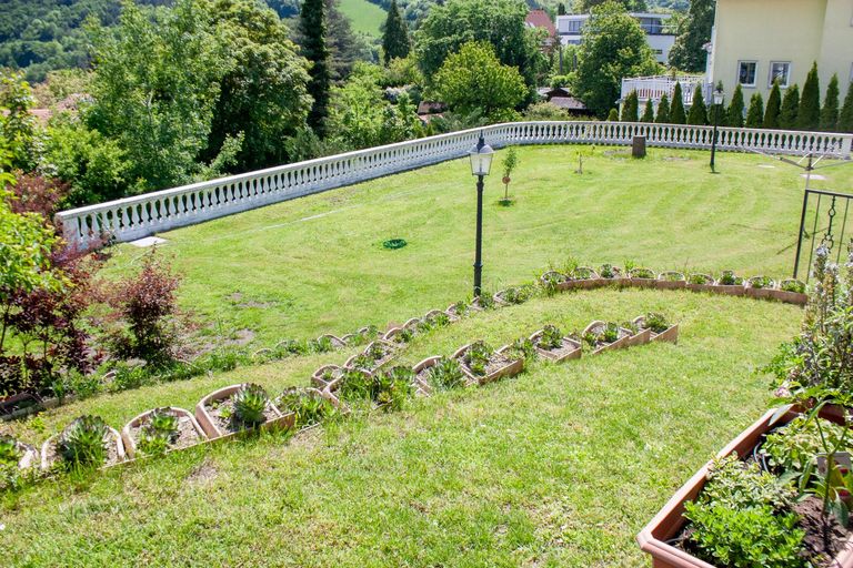 Gartenimpressionen 3