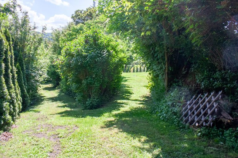 Gartenimpressionen 4