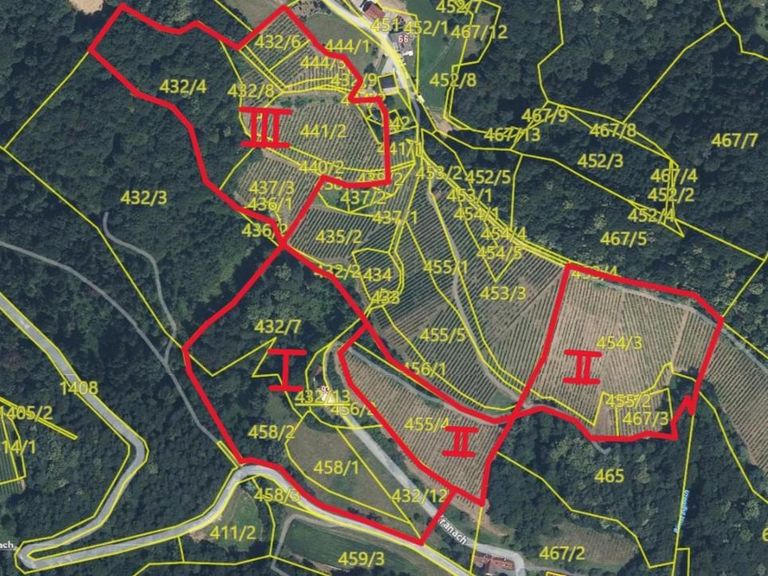 Gis-Gesamtfläche mit ungefähren Grenzverlauf und Z