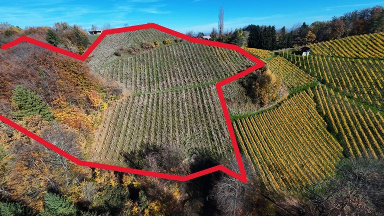 Zone III ungefährer Grenzverlauf