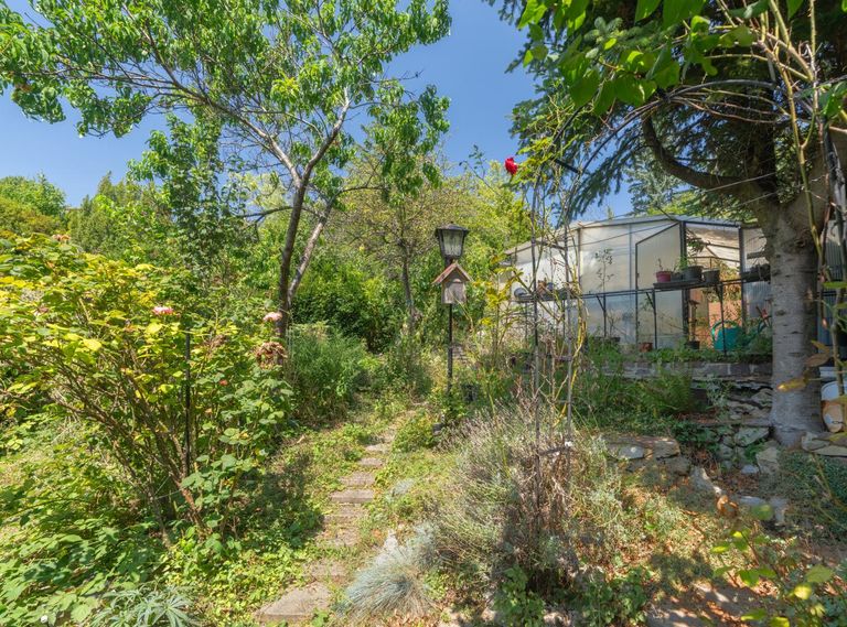 Wildromantischer Garten