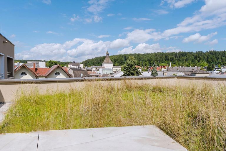 separater Dachgarten