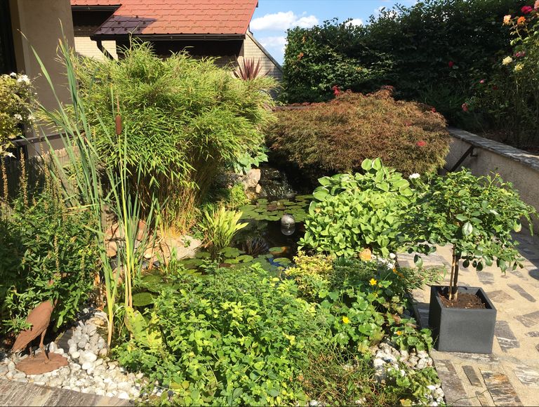 Terrasse, Archivaufnahme