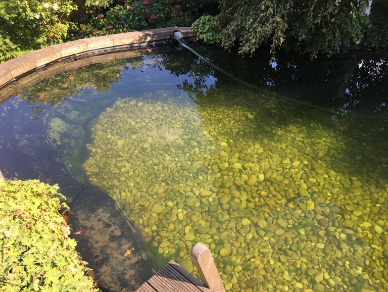 Schwimmteich, Archivaufnahme