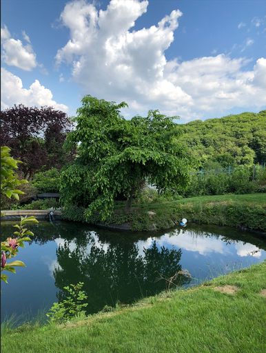 Schwimmteich, Archivaufnahme