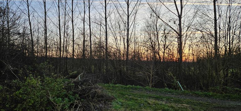 Widmung Wald, Weg Richtung 2.Hütte