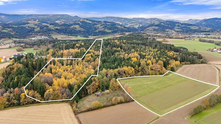 Vogelperspektive Acker-/Waldflächen