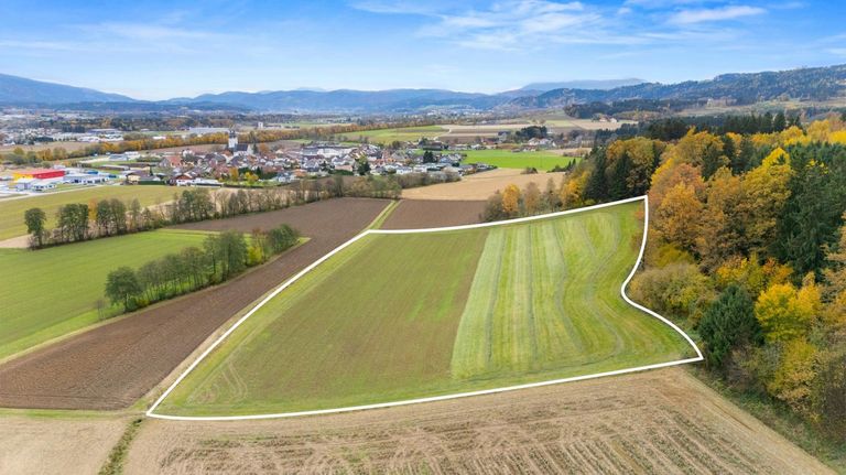 Wiesen-/Ackerfläche