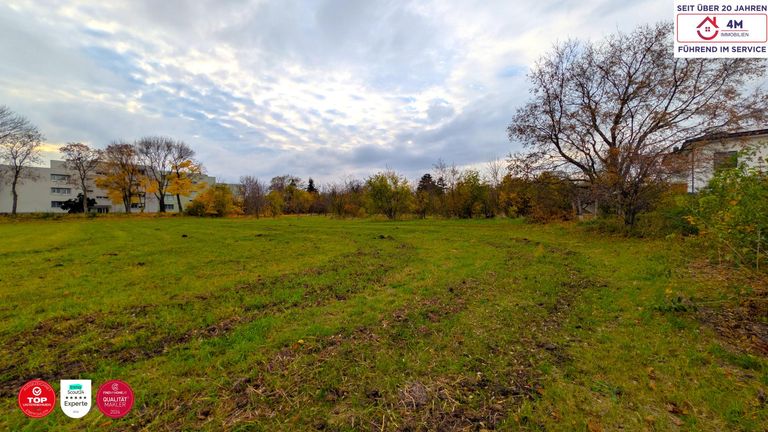 Grundstück vorne Links