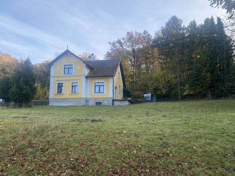 02 Landhaus mit Wiese