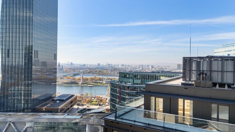 Donau Ausblick BSP