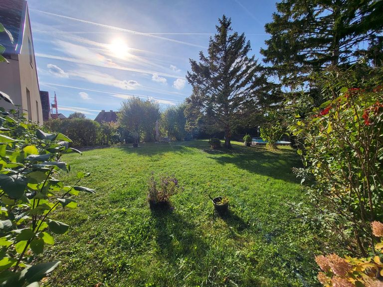 Garten 3
