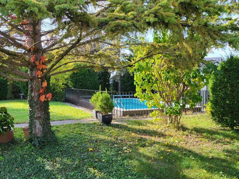 Garten 4