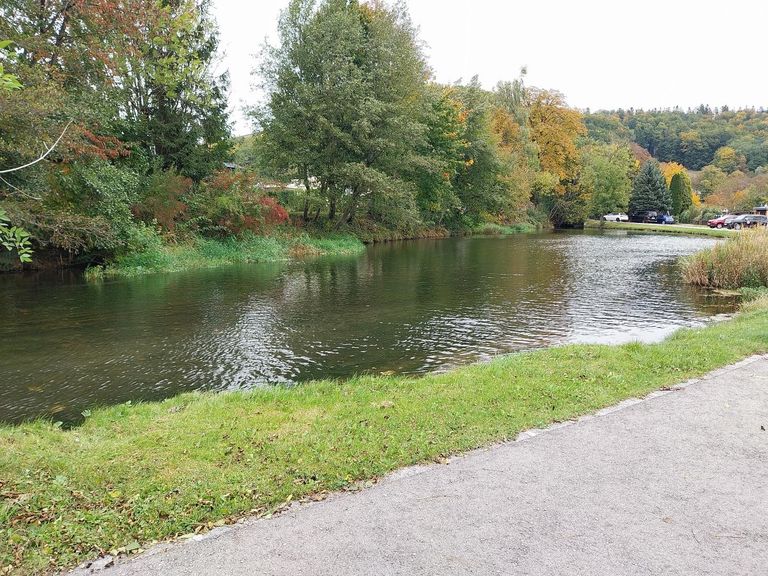 Auwerk - Camping - Teich