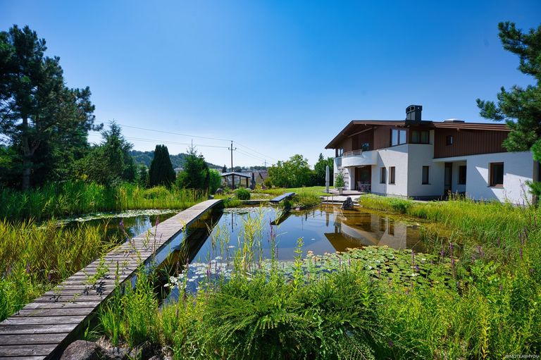 Blick vom Schwimmteich DSC_5773