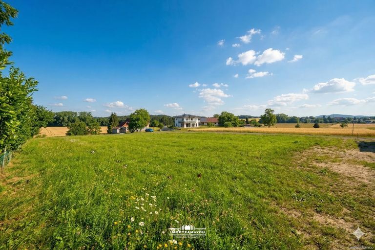 Grundstück im Sommer 02