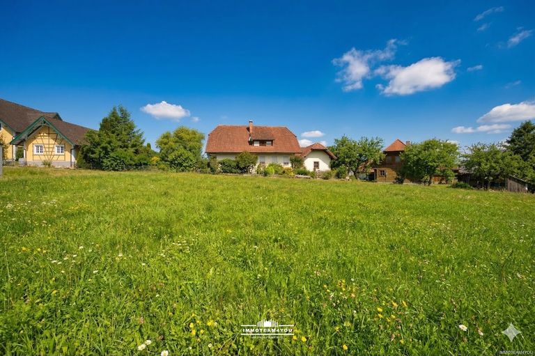 Grundstück im Sommer 03