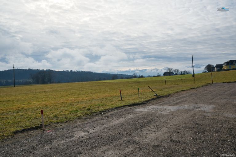 Der Ausblick DSC_0165