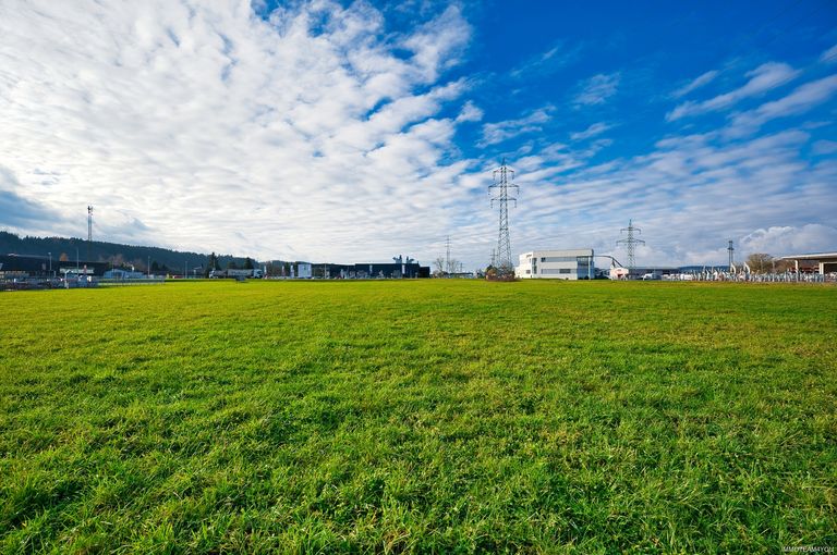 Blick von Grundstück 2 auf Grundstück 1 DSC_9326