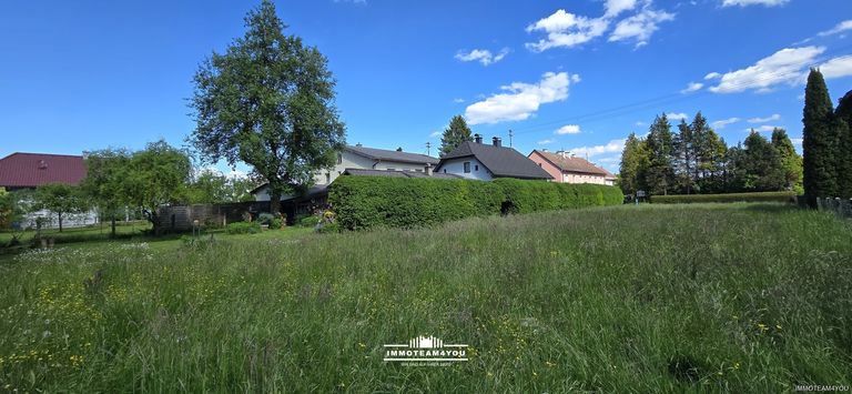Blick vom Waldrand