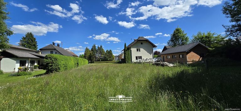 Blick vom Waldrand