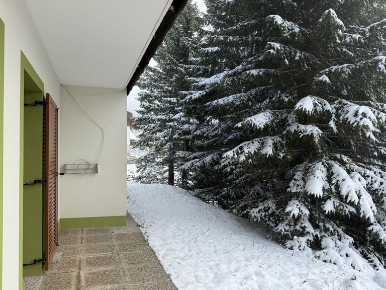 Südseitige Terrasse