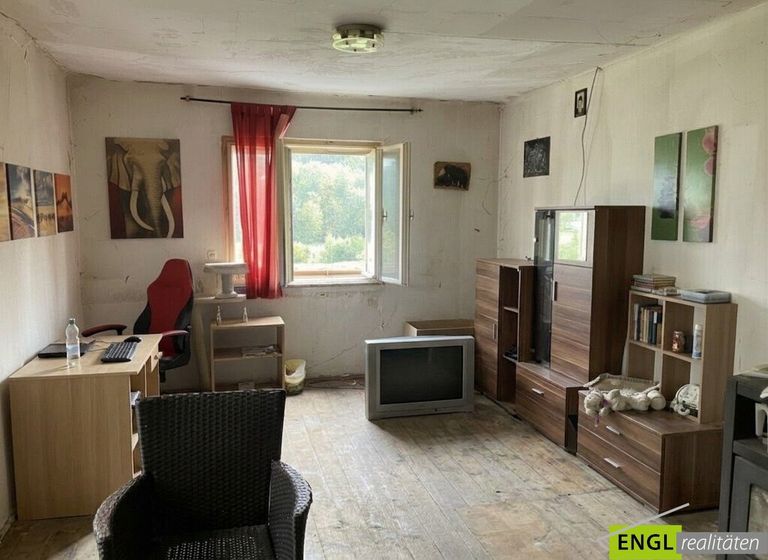 Wohnzimmer/Zimmer