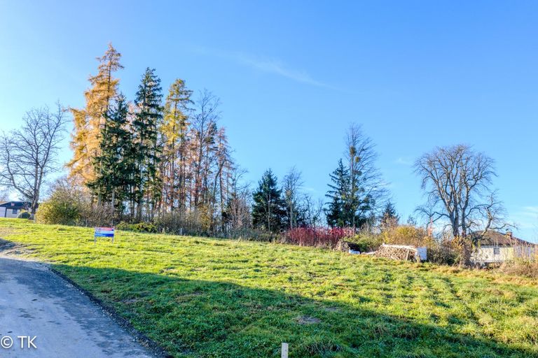 Blick aufs Grundstück