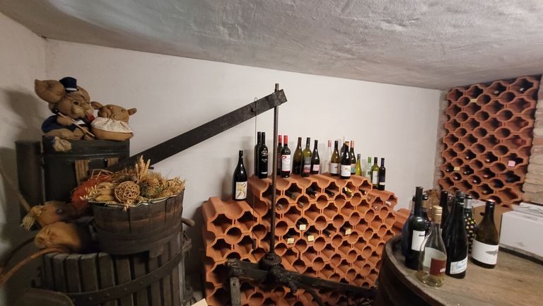 Weinkeller inkl. alter Presse