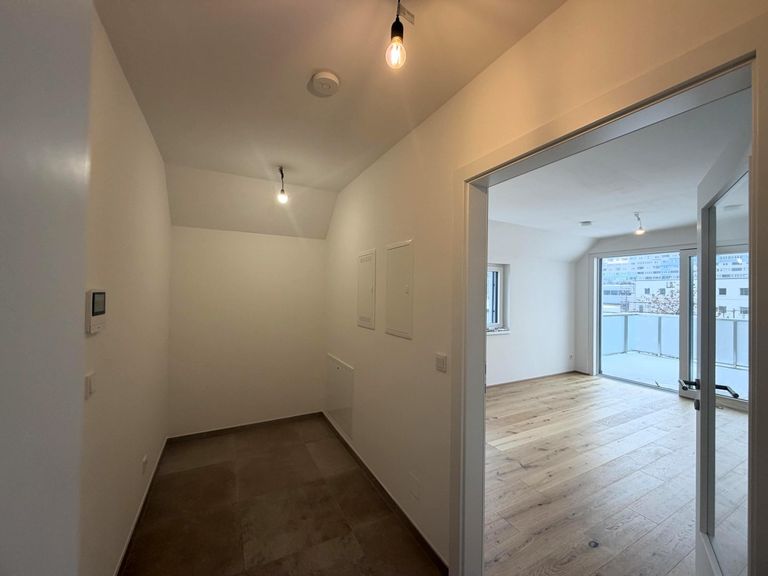 Wohnungseingang / Eingang Wohnzimmer