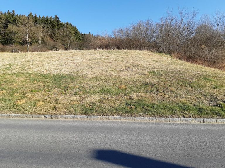 Straßenansicht frontal