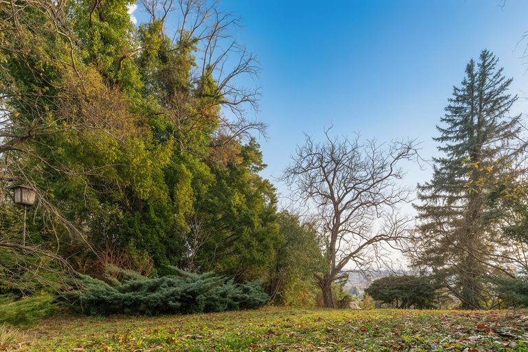 Grundstücksteil - Herbstabend