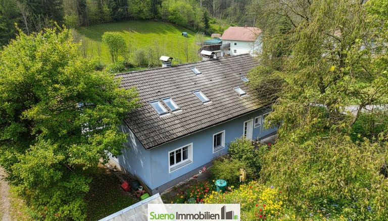 Drohnenbild (bearbeitet)