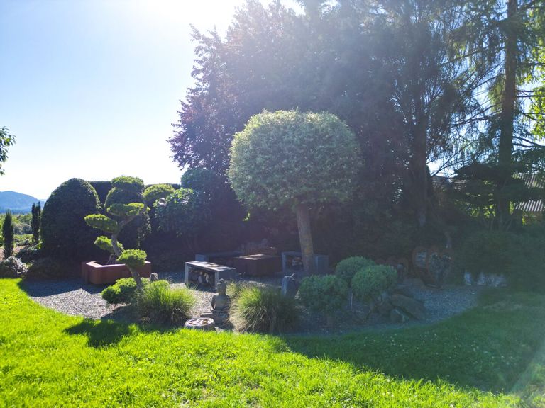 Grillplatz/Feuerstelle