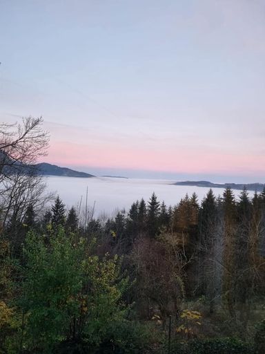 beinahe nie im Nebel