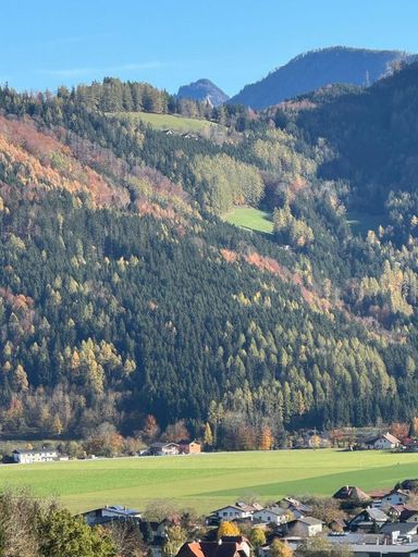 am Berg auf einer großen Lichtung alleine WOHNEN