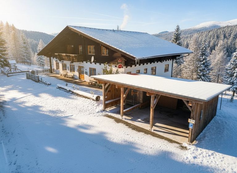Luftbild Haus und Carport