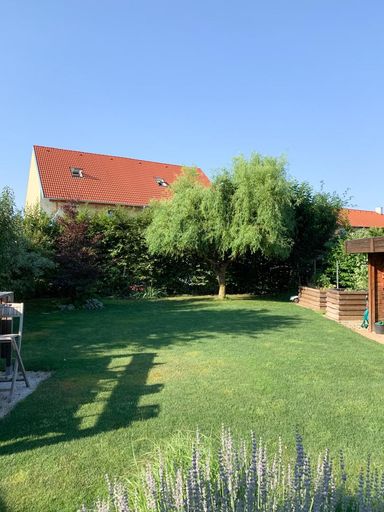 Garten im Sommer