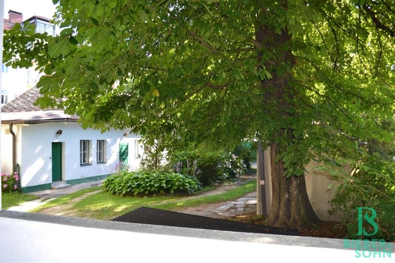 Blick Grünanlage Innenhof