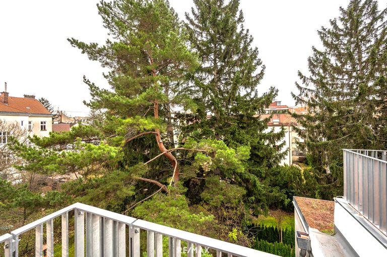 Grünblick auf der ruhigen Gartenseite