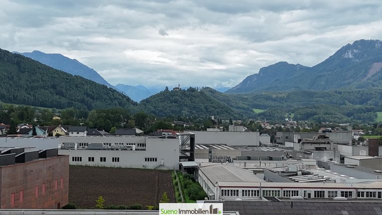 Drohnenbild Kremstal
