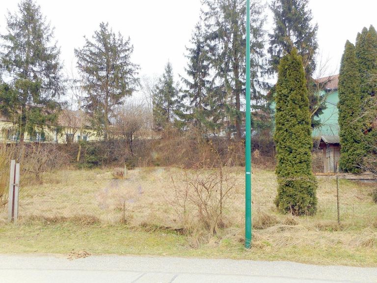 Strassenansicht gerodet