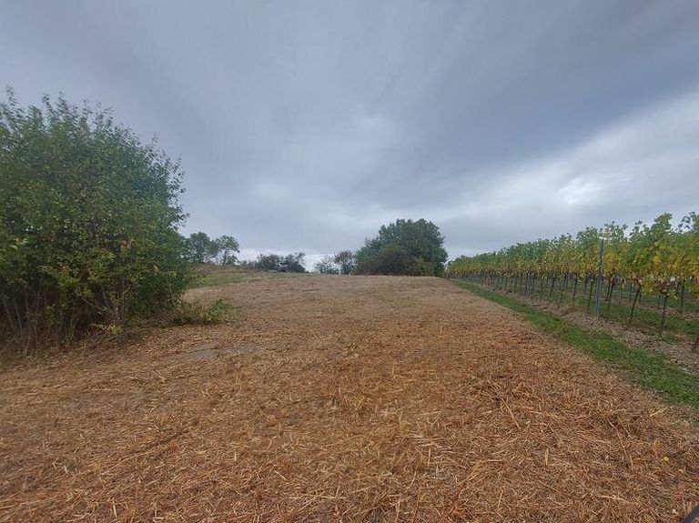 Gerodetes Grundstück hinter dem Haus
