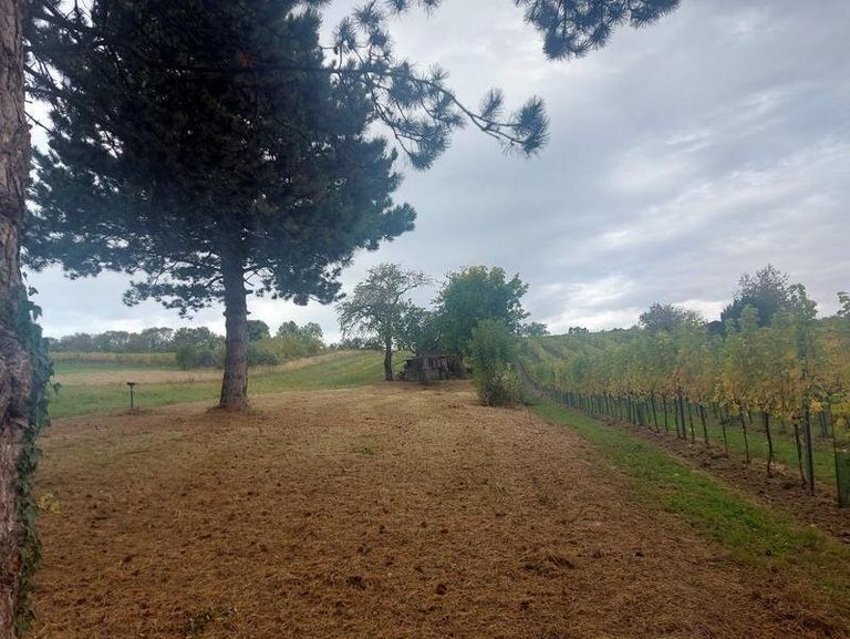 Südansicht des Grundstücks